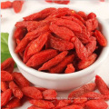 Ningxia Goji Berry (conventionnel) Wolfberry chinois